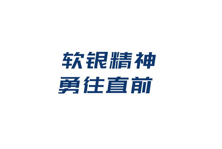 一般经营项目是:电子产品销售;日用品销售;信息咨询服务(不含许可类